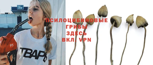 твердый Красноперекопск