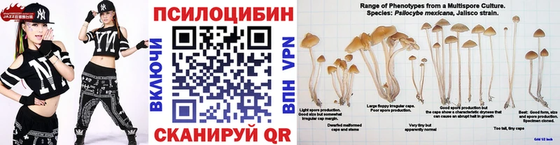 Псилоцибиновые грибы ЛСД  Ноябрьск 