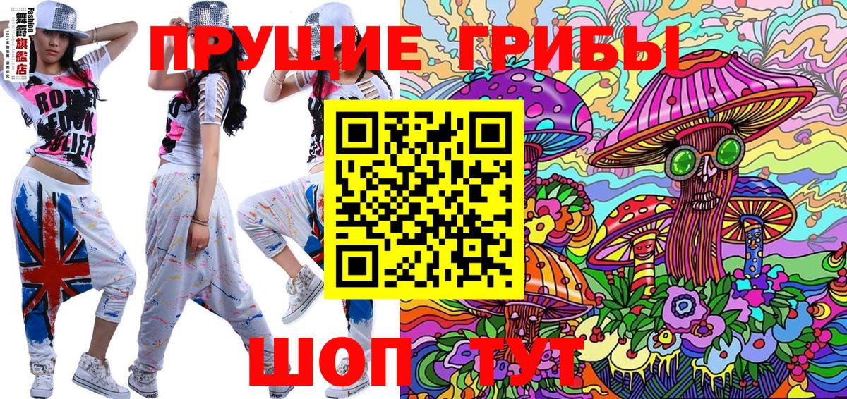 Галлюциногенные грибы Psilocybe  Вход с VPN  Ноябрьск 