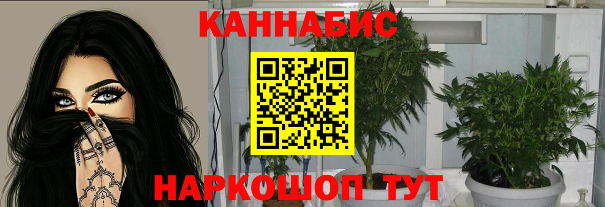 Ноябрьск  Шишки марихуана план  Каннабис Amnesia  Вход с VPN  Бошки марихуана индика  Каннабис индика 